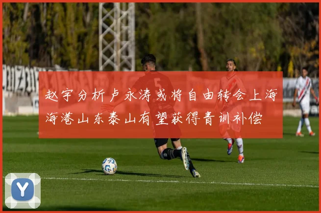 赵宇分析卢永涛或将自由转会上海海港山东泰山有望获得青训补偿