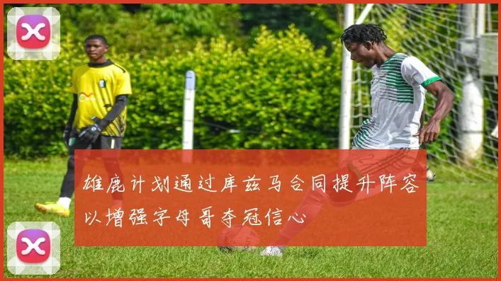 雄鹿计划通过库兹马合同提升阵容以增强字母哥夺冠信心