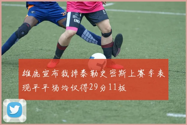 雄鹿宣布裁掉泰勒史密斯上赛季表现平平场均仅得29分11板