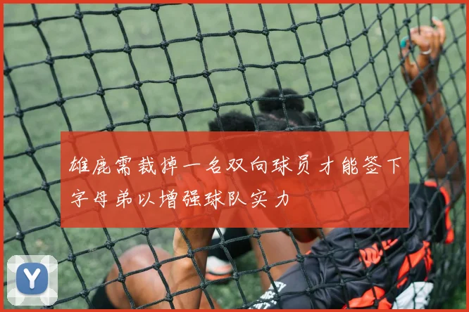 雄鹿需裁掉一名双向球员才能签下字母弟以增强球队实力